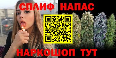 герыч Краснодар